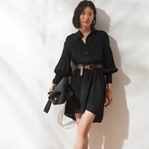 Banana Republic Petite Balloon-sleeve Shirtdress